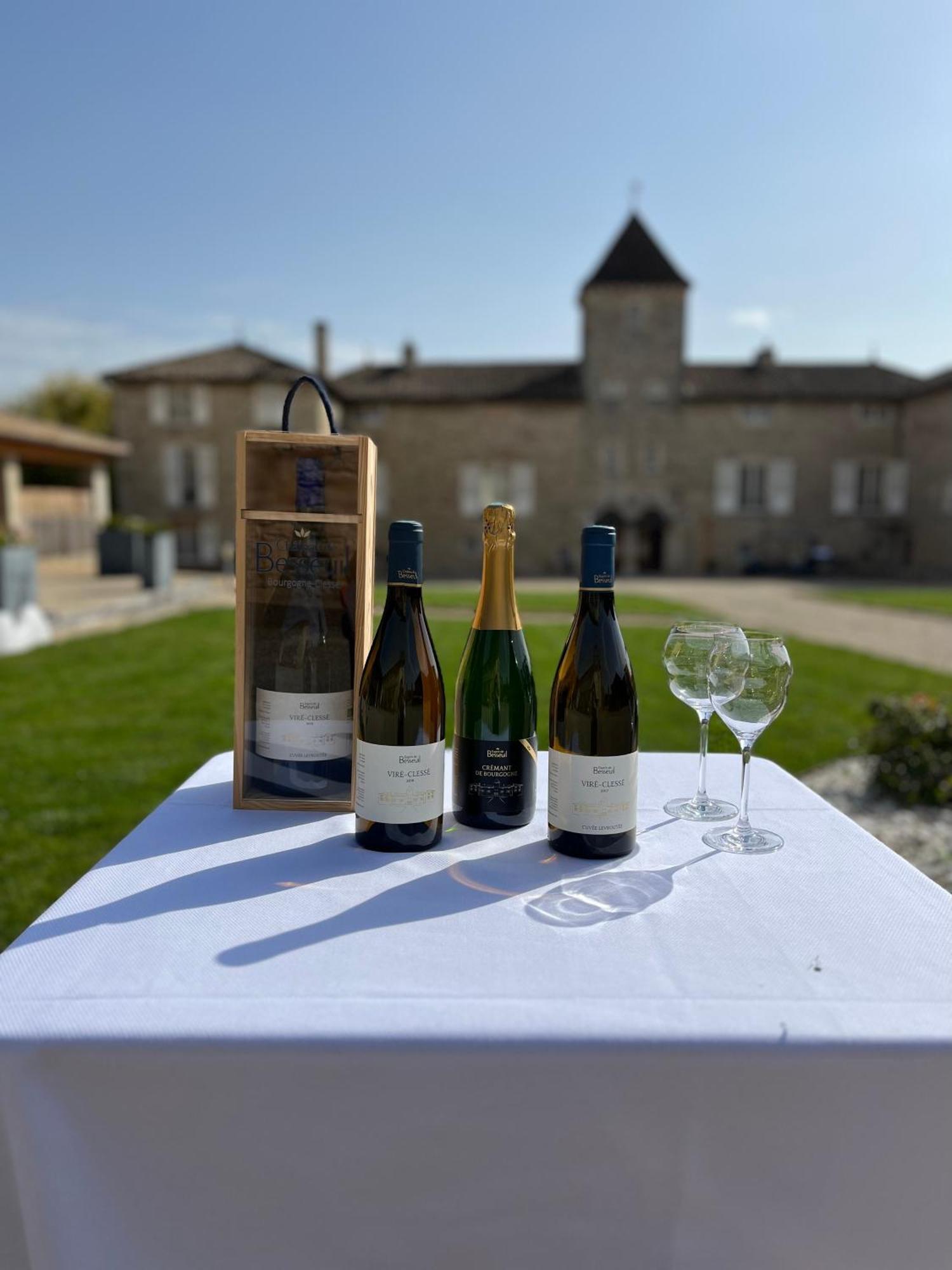 Hotel-Restaurant Le Chateau De Besseuil, Macon Nord - Teritoria Clesse  Екстер'єр фото